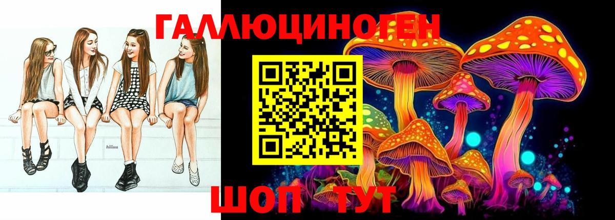 Псилоцибиновые грибы ЛСД  Псилоцибиновые грибы Psilocybine cubensis  Баксан  Вход с VPN 